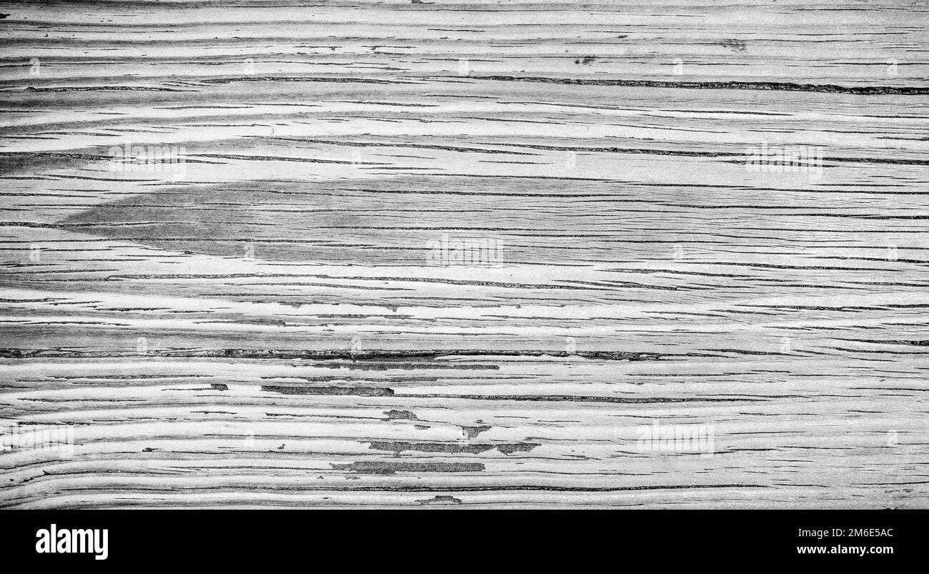 Vieux bois texture background, perfect natural pattern. Banque D'Images