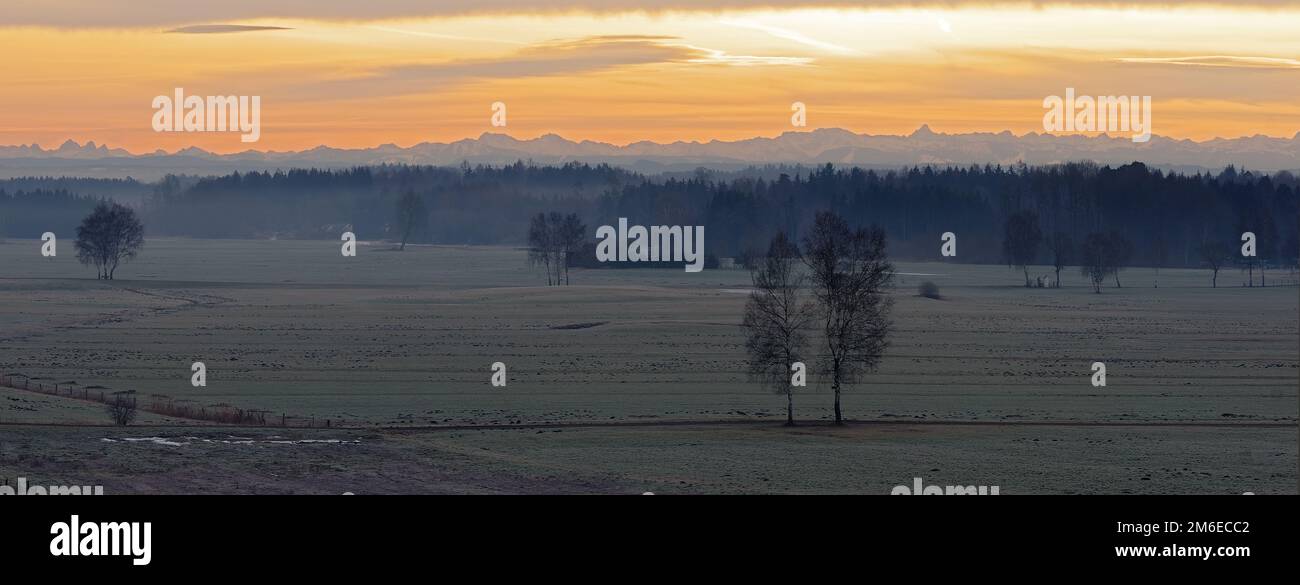 Paysage de carex à l'aube d'hiver Banque D'Images