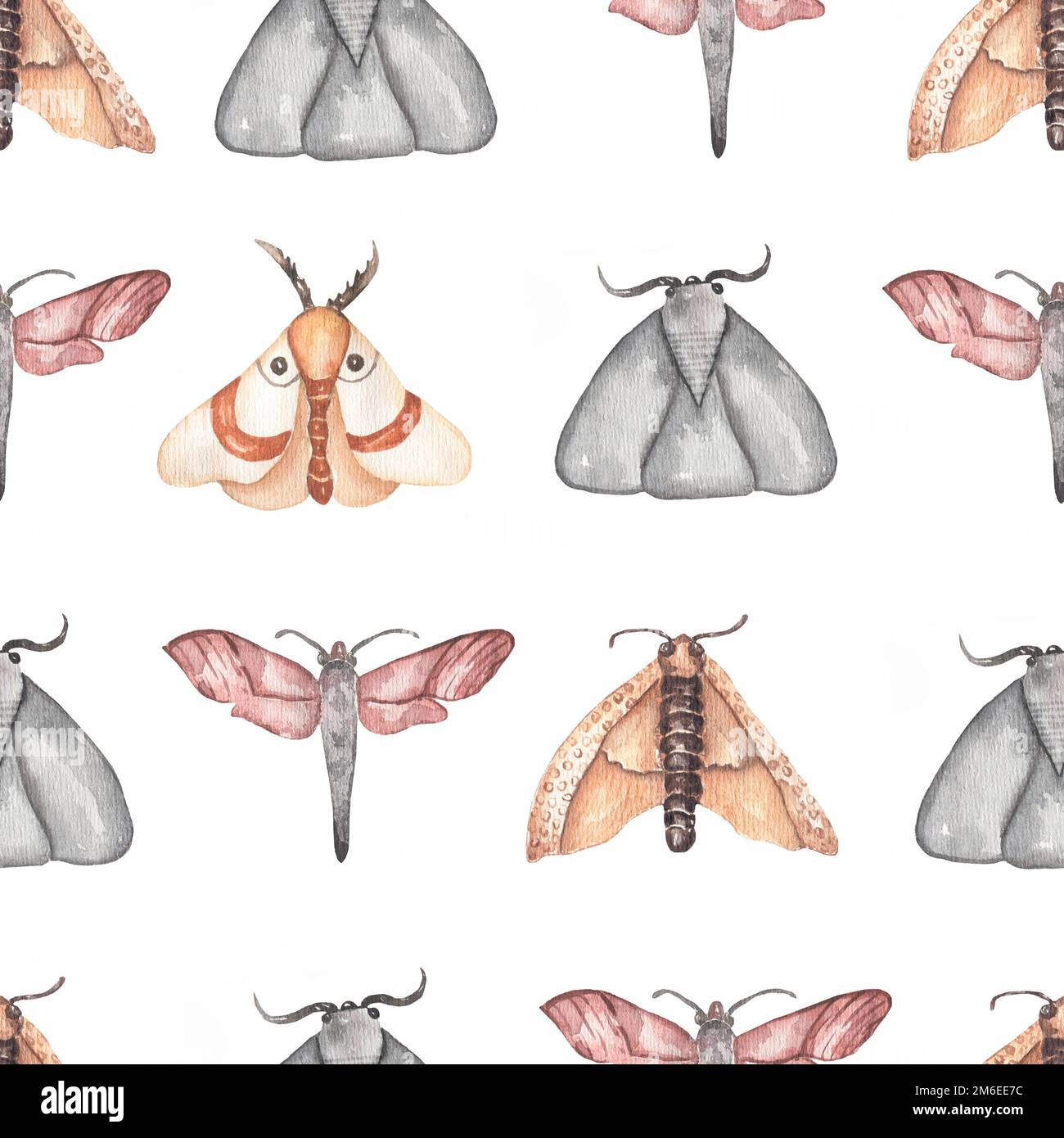 Aquarelle sans couture aquarelle peinte à la main de haute qualité motif papillons et papillons. Banque D'Images