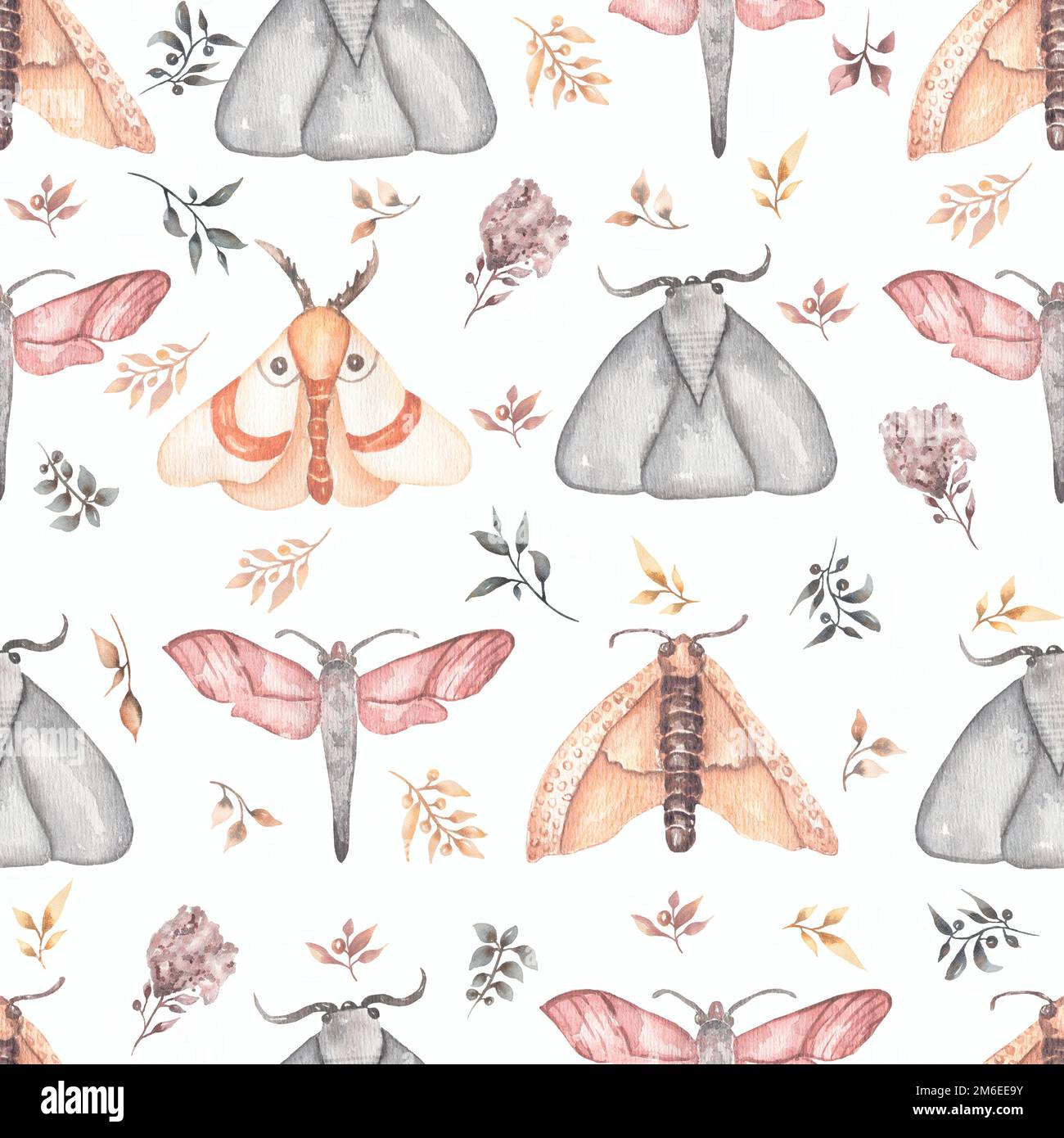Aquarelle sans couture aquarelle de haute qualité peinte à la main papillons et papillons avec motif floral dans des couleurs neutres tendance. Banque D'Images
