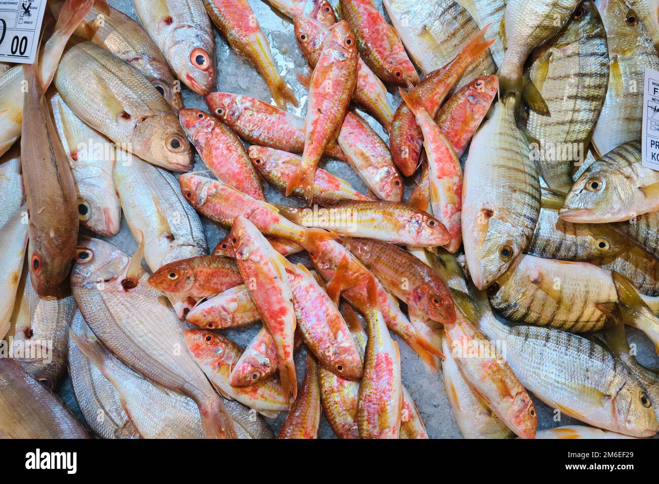 Une vue détaillée, en hauteur, de certains poissons locaux à vendre, disposés sur un plateau de glace dans un stand. Au marché de Tavira, Mercado à Tavira, Algarve, po Banque D'Images