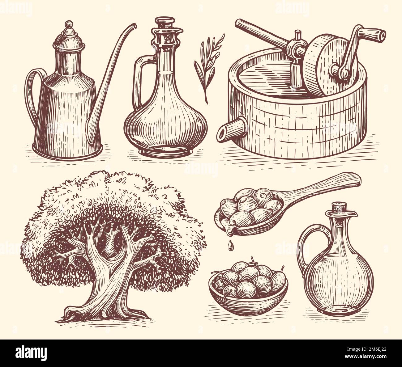 Concept de production d'huile d'olive. Alimentation naturelle saine de la ferme biologique. Croquis vectoriels dessinés à la main dans un style de gravure vintage Illustration de Vecteur