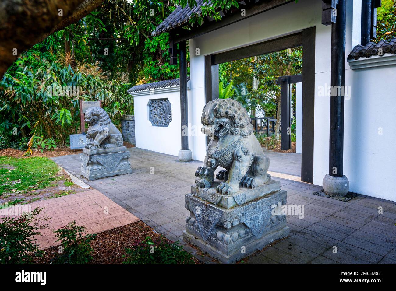 Lions de gardien chinois à l'entrée du jardin chinois de Hervey Bay, du jardin botanique de Hervey Bay, d'Urangan Hervey Bay Queensland Australie Banque D'Images