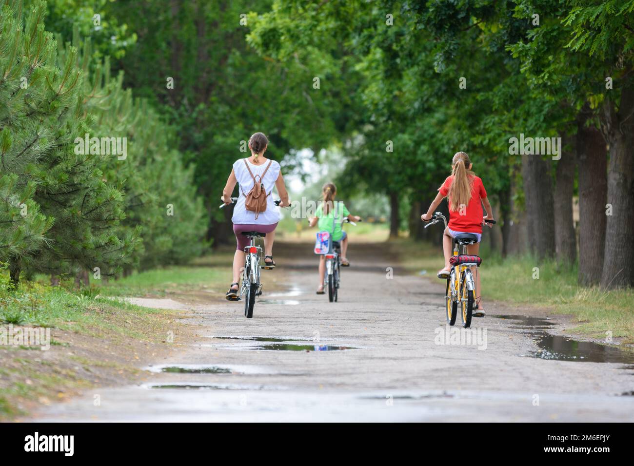 Une maman avec deux enfants fait du vélo dans le parc le matin, vue arrière Banque D'Images