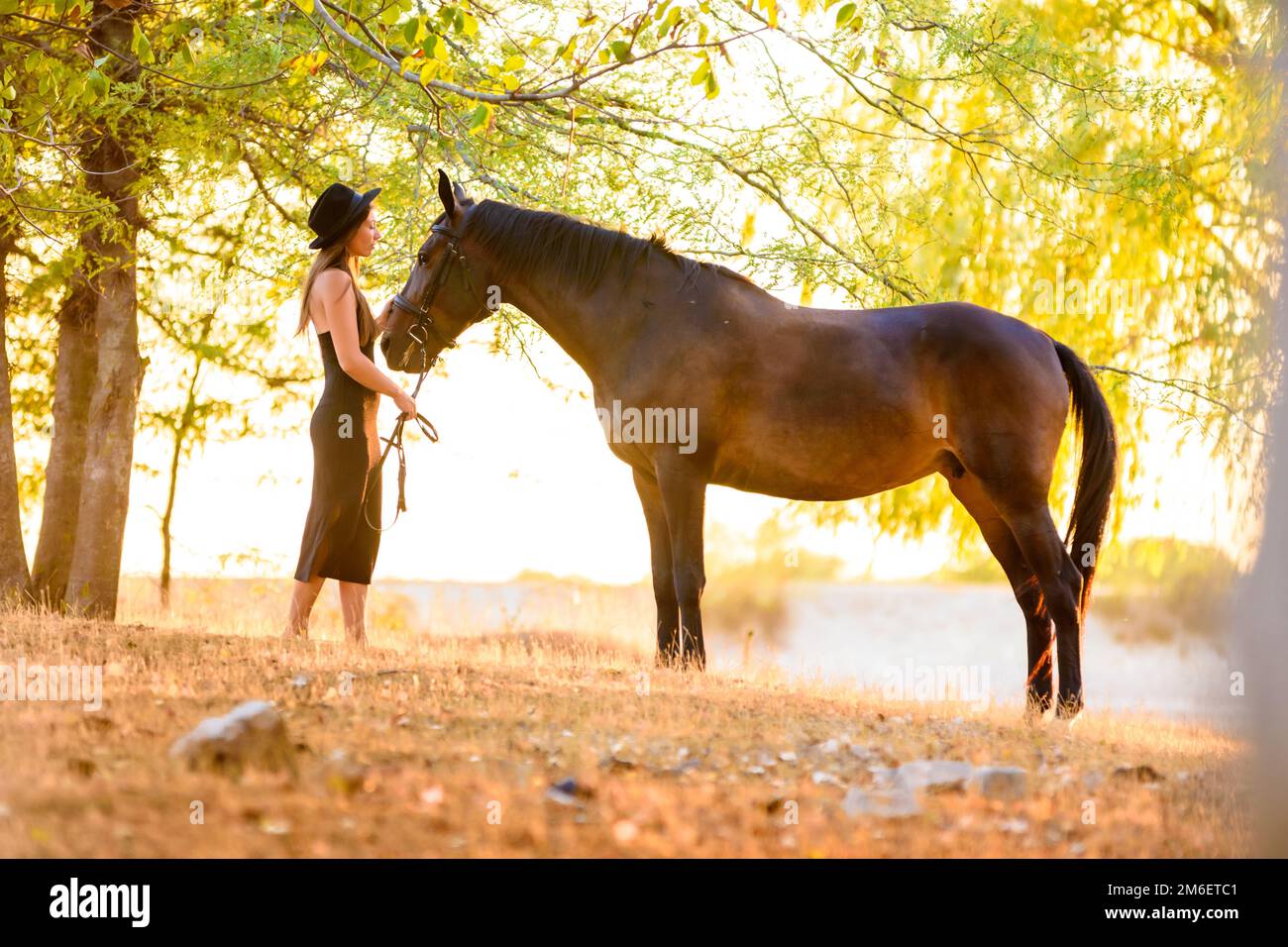 Belle fille se tient avec un cheval dans la forêt à coucher de soleil avec beau rétroéclairage Banque D'Images