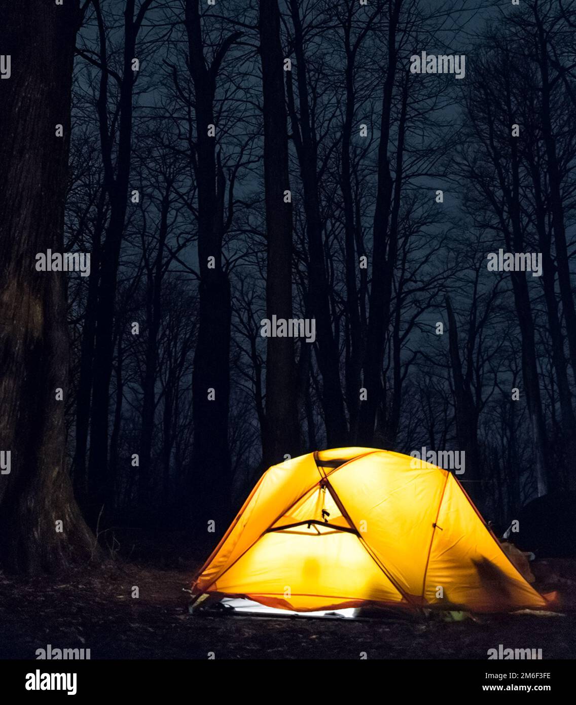 Lumière en tente dans la forêt d'automne. Touristes de nuit. Banque D'Images