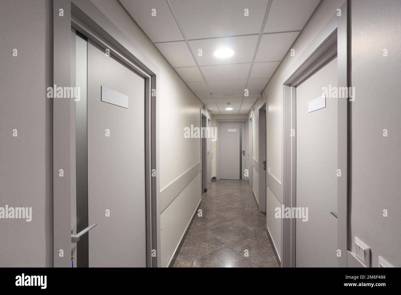 Esthétique et propre moderne clinique privée ou couloir de vétérinaire avec des affiches vides. Couloir industriel blanc avec portes grises Banque D'Images