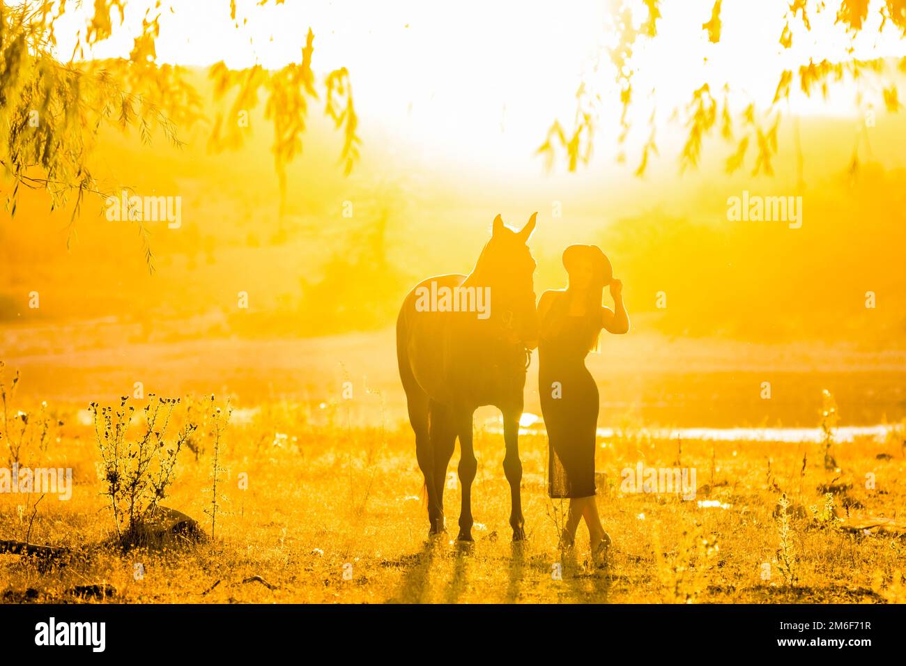 Fille avec un cheval sur une promenade au coucher du soleil Banque D'Images