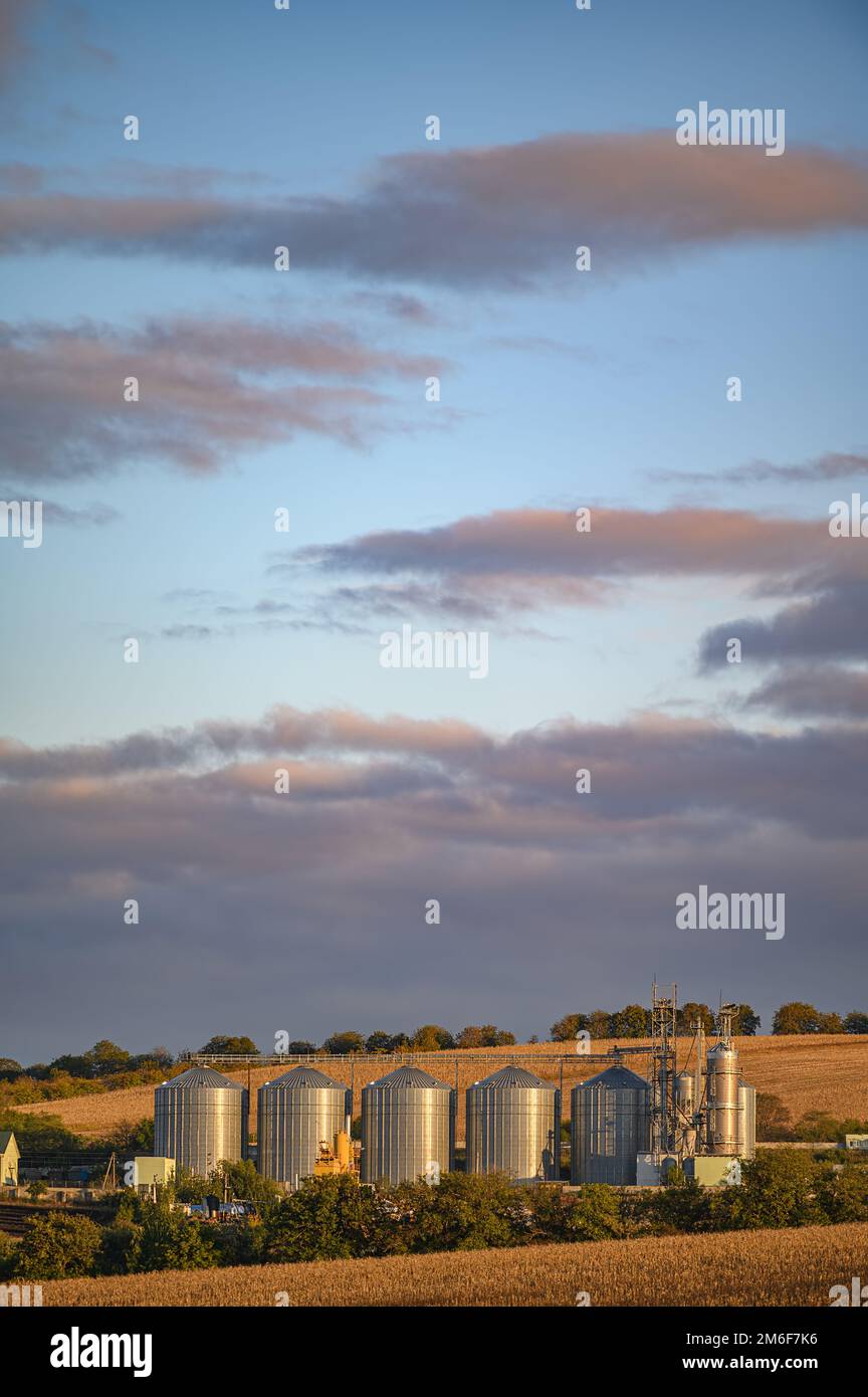 Silos de stockage de grain, réservoirs de métal brillant pour le grain à la gare de Rogojeni en Moldavie Banque D'Images