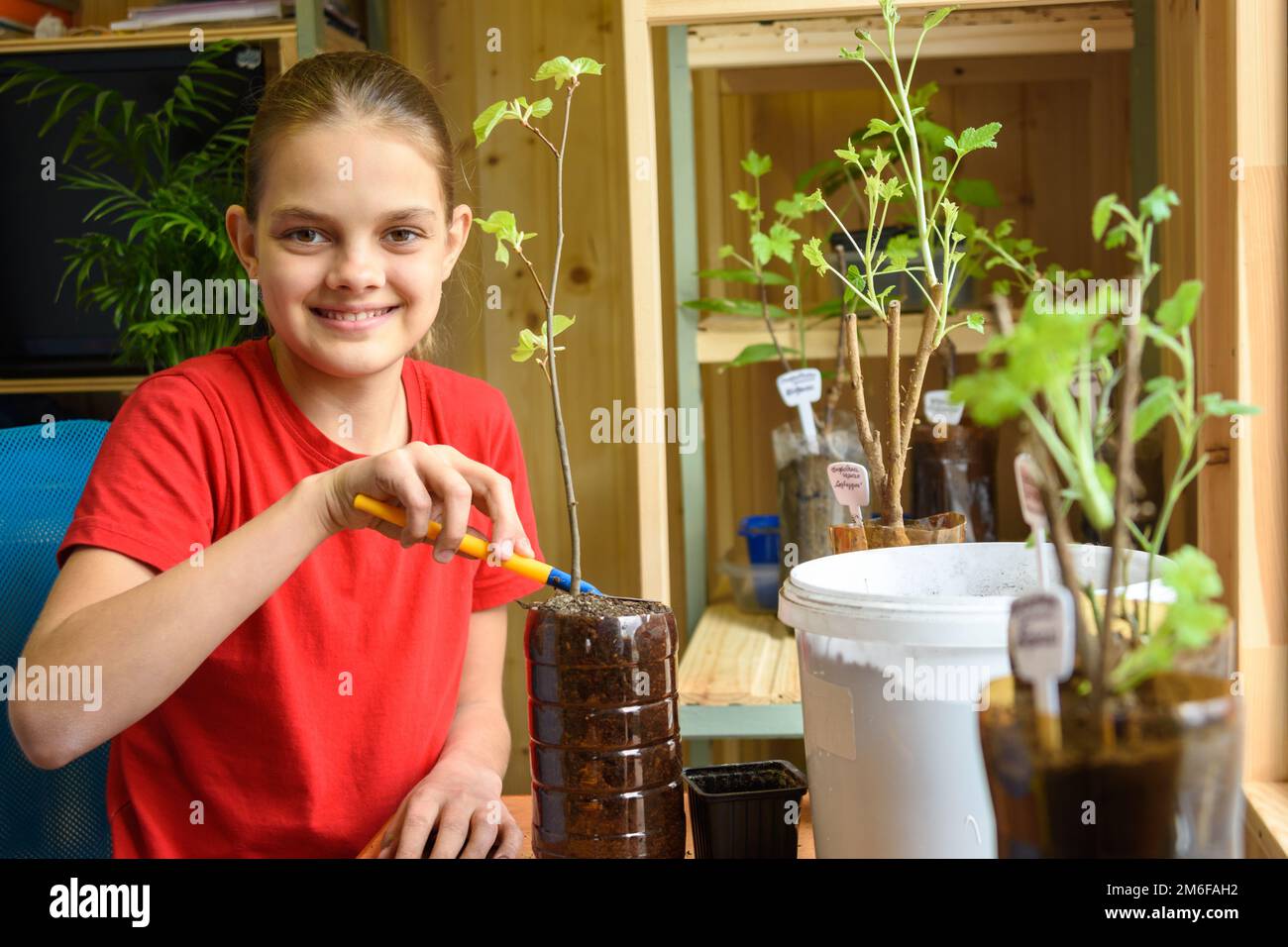 La fille heureuse transplante des plantes de jardin et regarde joyeusement dans le cadre Banque D'Images