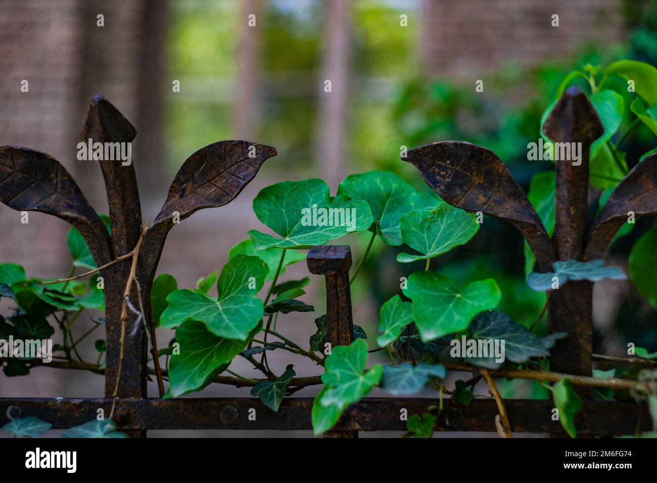 Architecture du vieux Tbilissi, Géorgie Banque D'Images