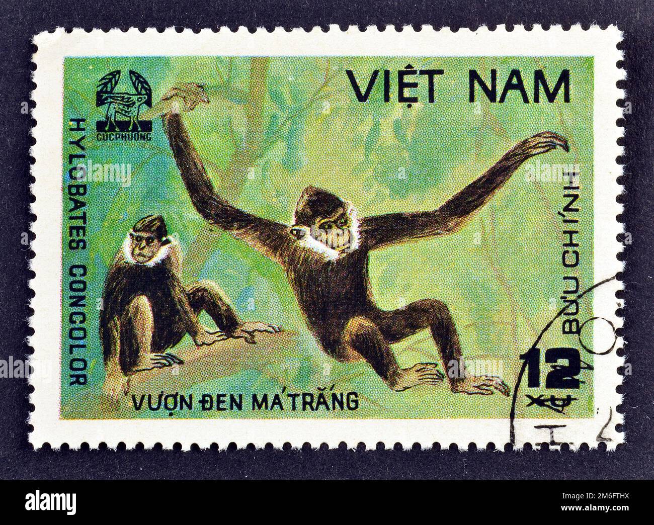 Timbre-poste annulé imprimé par le Vietnam, qui montre Black Crested Gibbon, concolor Nomascus, CUC Phuona Nati Forest, vers 1981. Banque D'Images