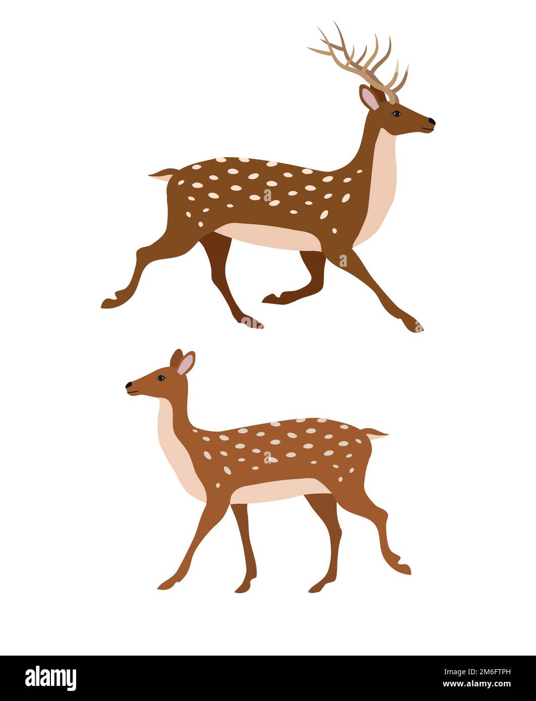 Vector deux cerfs plats dessinés à la main Illustration de Vecteur