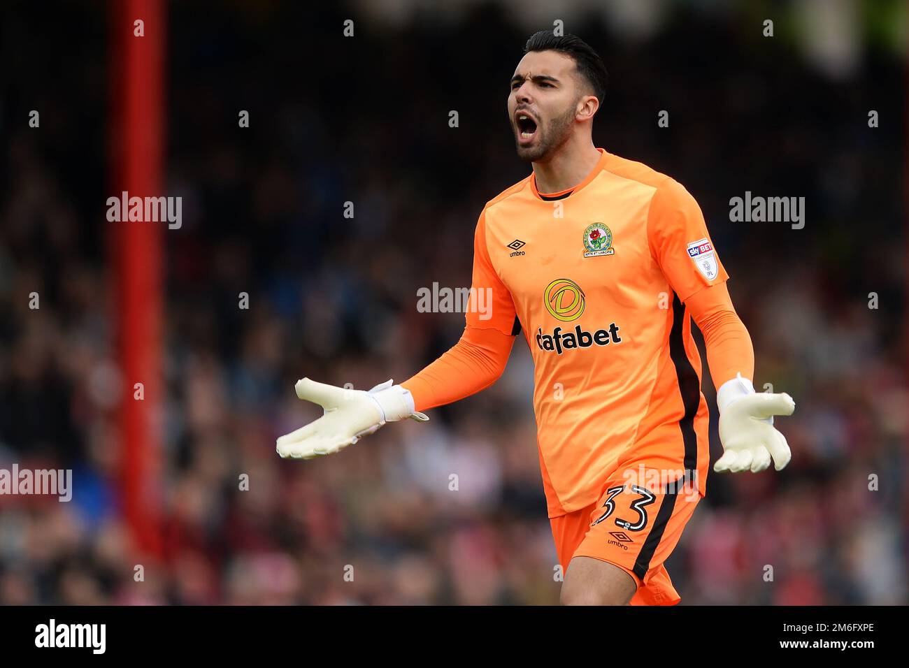 David Raya de Blackburn Rovers célèbre le but de Charlie Mulgrew de Blackburn Rovers (non représenté) - Brentford v Blackburn Rovers, Sky Bet Championship, Griffin Park, Londres - 7th mai 2017. Banque D'Images