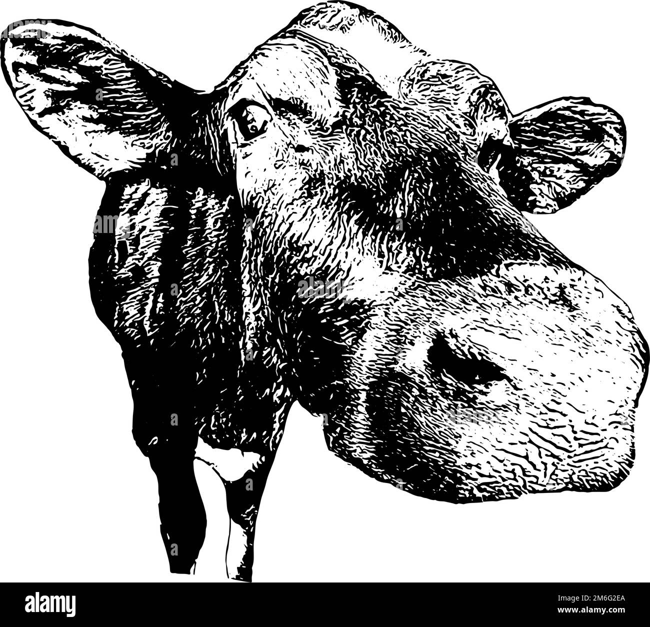 Esquisse de vache laitière en noir Illustration de Vecteur