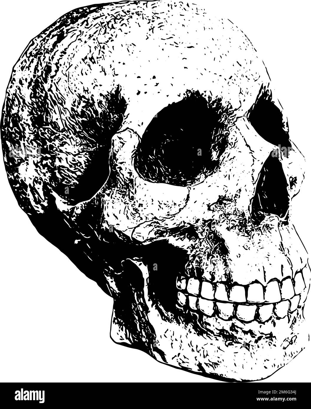 Illustration du crâne dans la vue en profil noir Illustration de Vecteur