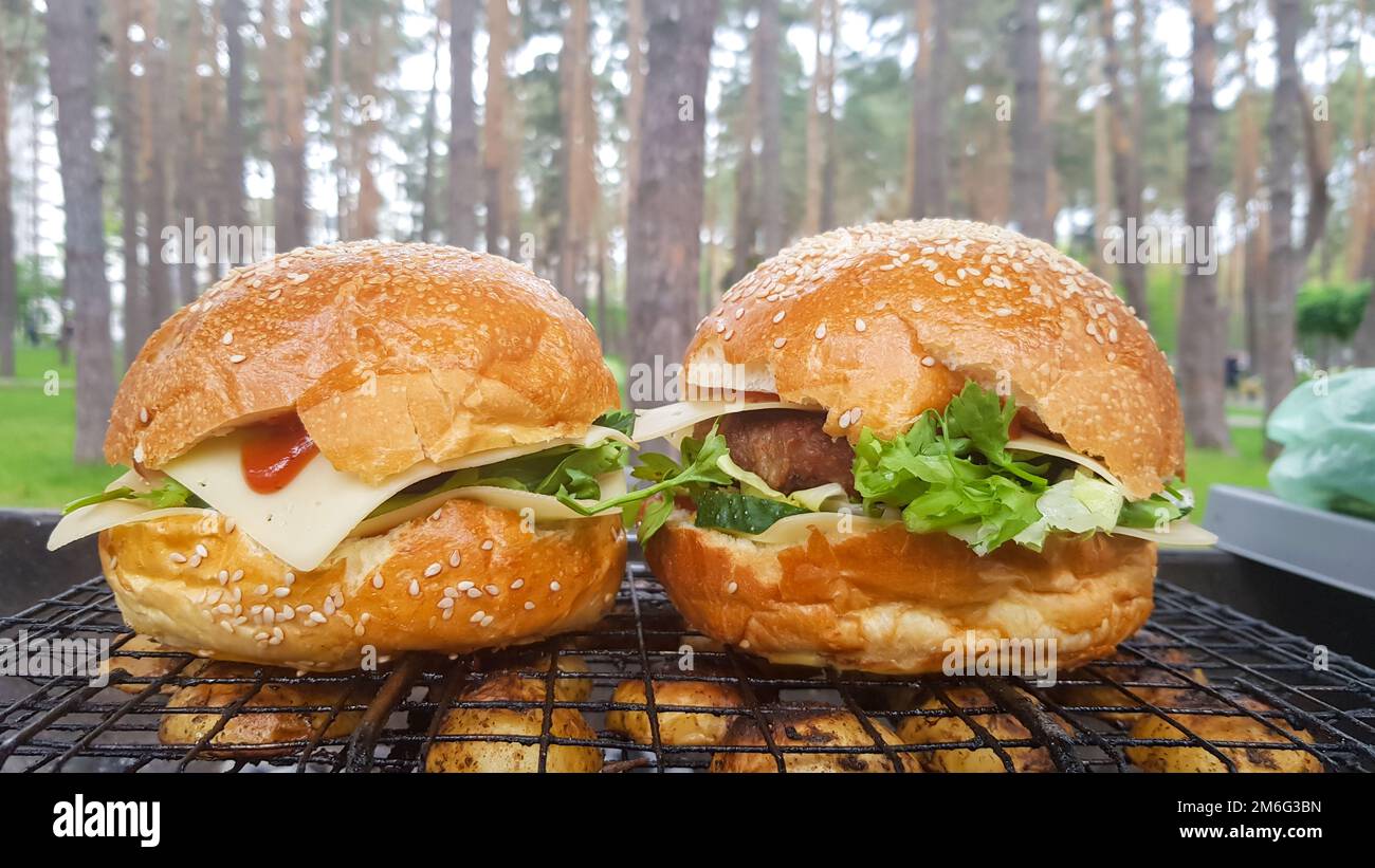 Gros plan de deux grands hamburgers de bricolage dans le parc sur un barbecue, repos et cuisine sur un pique-nique en été, la nourriture, délicieux, bri Banque D'Images