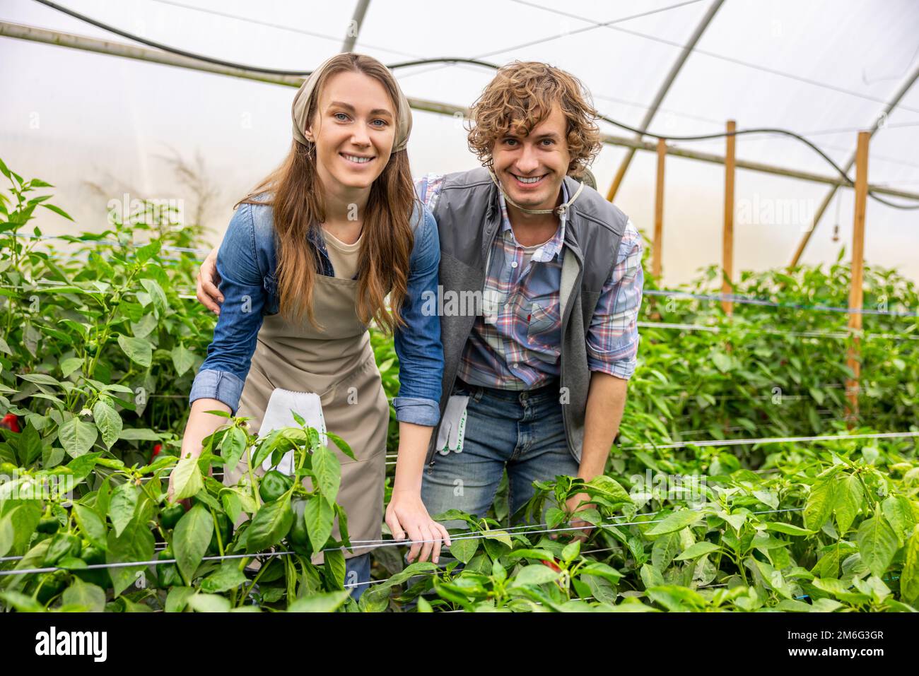 Couple joyeux d'agriculteurs posant pour la caméra dans une serre Banque D'Images