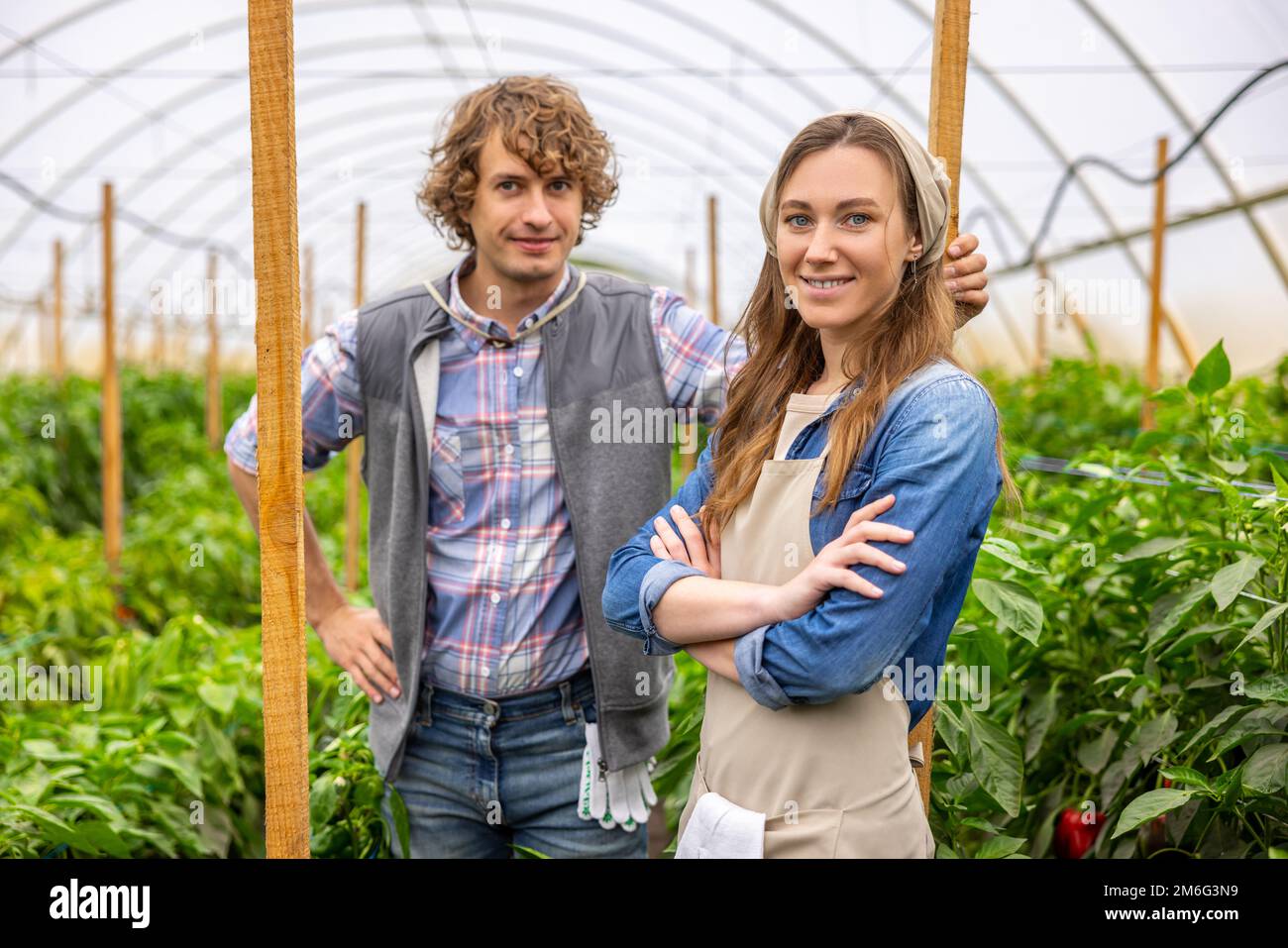 Couple d'agronomes debout parmi les plantes dans la serre Banque D'Images