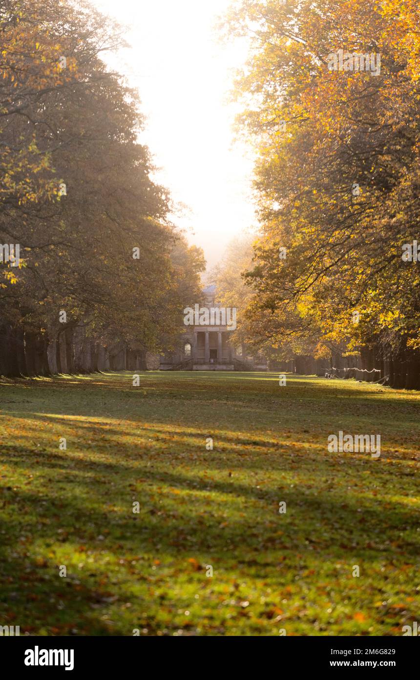 Avenue arborescente donnant sur la chapelle de Gibside, illuminée par la lumière du soleil d'automne créant de longues ombres. Tyne et Wear. ROYAUME-UNI. Banque D'Images