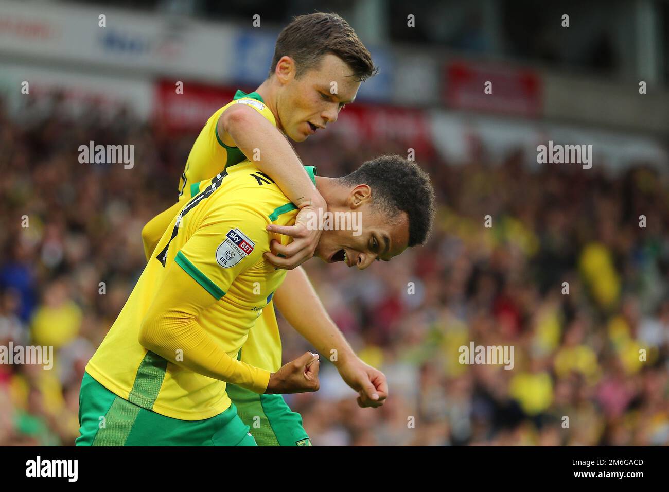 Josh Murphy de Norwich City fête avec Jonathan Howson après avoir marqué pour faire 3-1 - Norwich City / Cardiff City, Sky Bet Championship, Carrow Road, Norwich - 10th septembre 2016. Banque D'Images