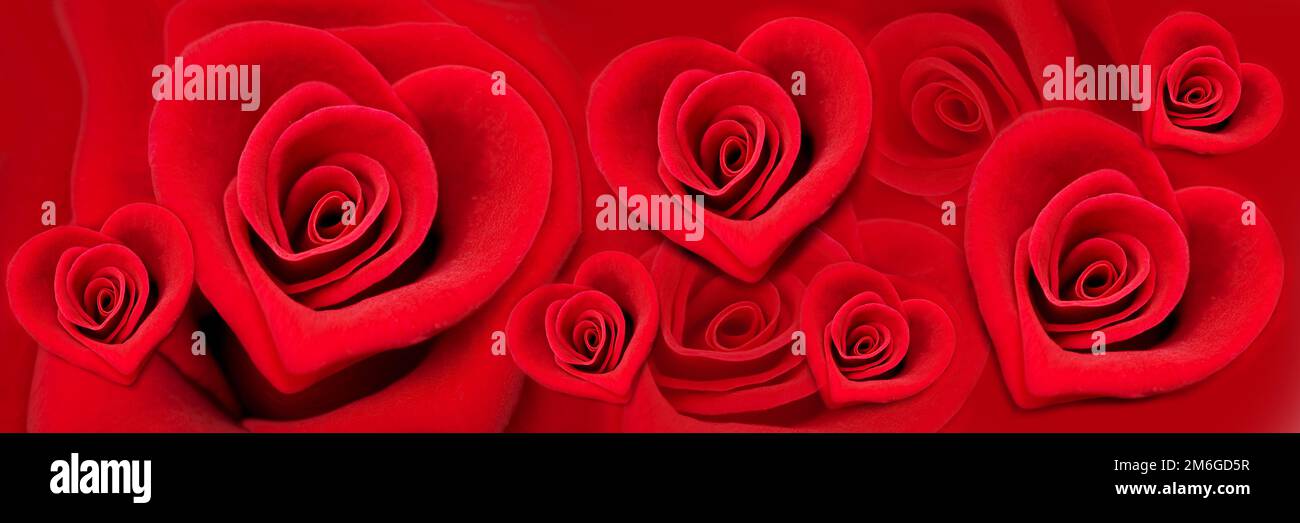 Roses rouges en forme de coeur, l'amour panoramique et la bannière de la Saint-Valentin Banque D'Images