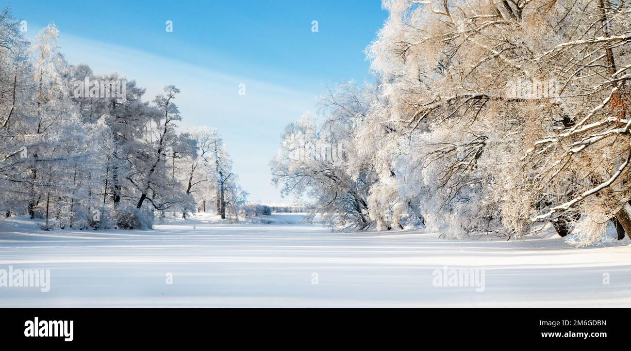 Panorama de belle winter park Banque D'Images