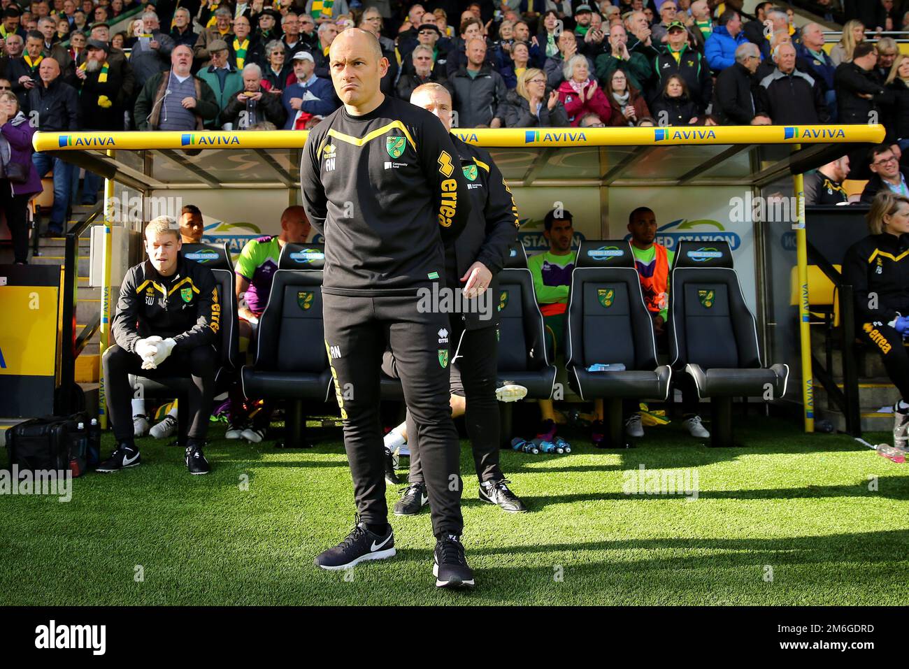 Directeur de Norwich City, Alex Neil - Norwich City v Preston North End, Sky Bet Championship, Carrow Road, Norwich - 22nd octobre 2016. Banque D'Images