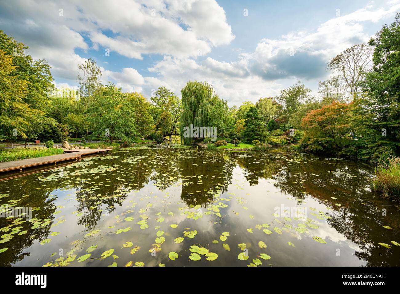 Parc municipal d'automne. Jardin japonais à Wroclaw, Pologne. Photo de haute qualité Banque D'Images