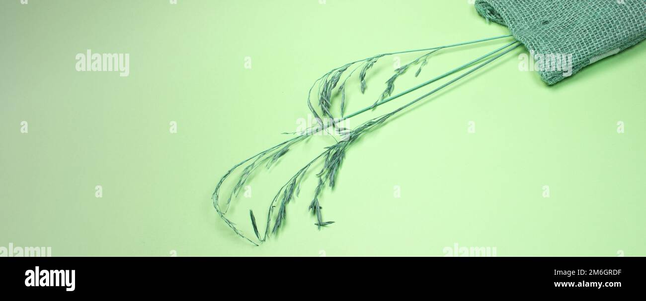 Des épillets secs et un sac de lin reposent sur un fond vert, des herbes séchées abstraites pour un décor élégant. Gros plan, appartement, Banque D'Images