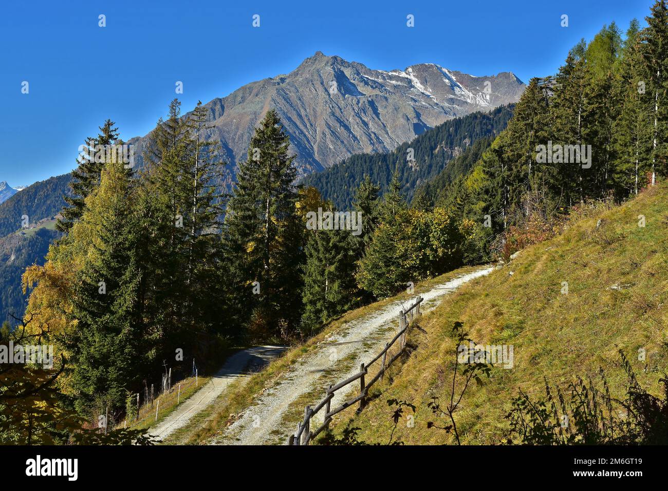 Automne dans le Tyrol du Sud, vue sur le groupe Texel près de Meran, Italie Banque D'Images