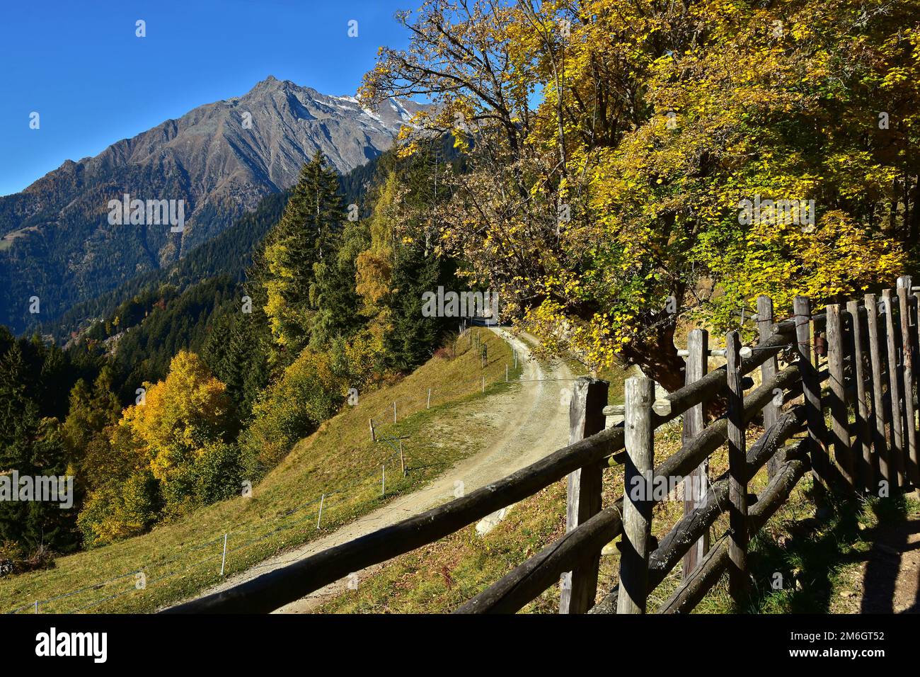 Automne dans le Tyrol du Sud, vue sur le groupe Texel près de Meran, Italie Banque D'Images