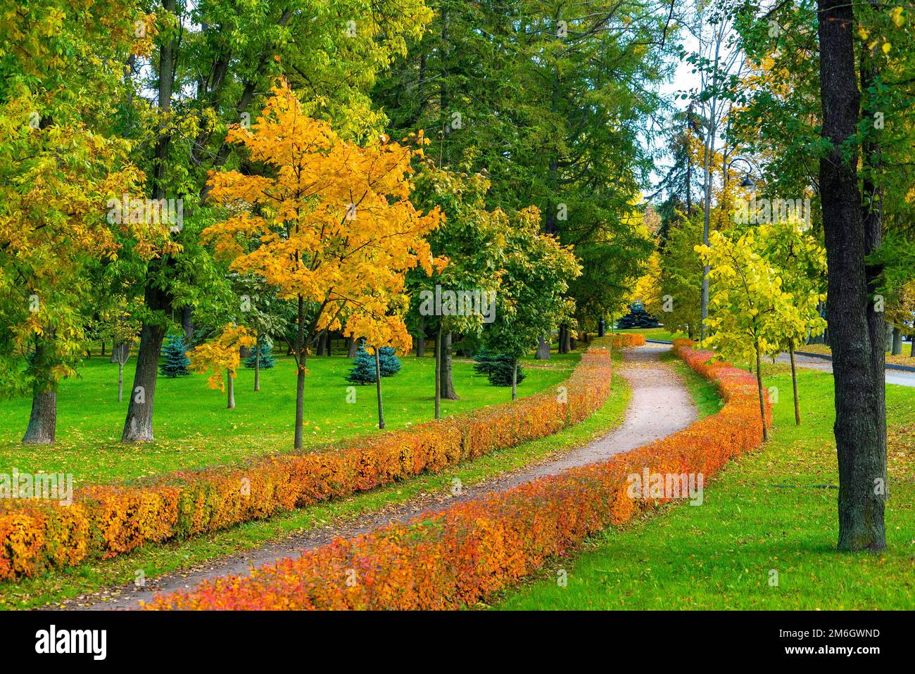 Un sentier piétonnier sinueux dans le parc d'automne de l'île de Krestovsky. Banque D'Images