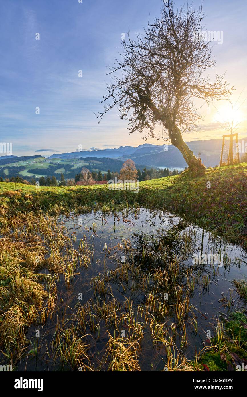 Paysage d'automne au lever du soleil dans les montagnes Allgaeu, près d'Oberstaufen, Bavière, Allemagne Banque D'Images