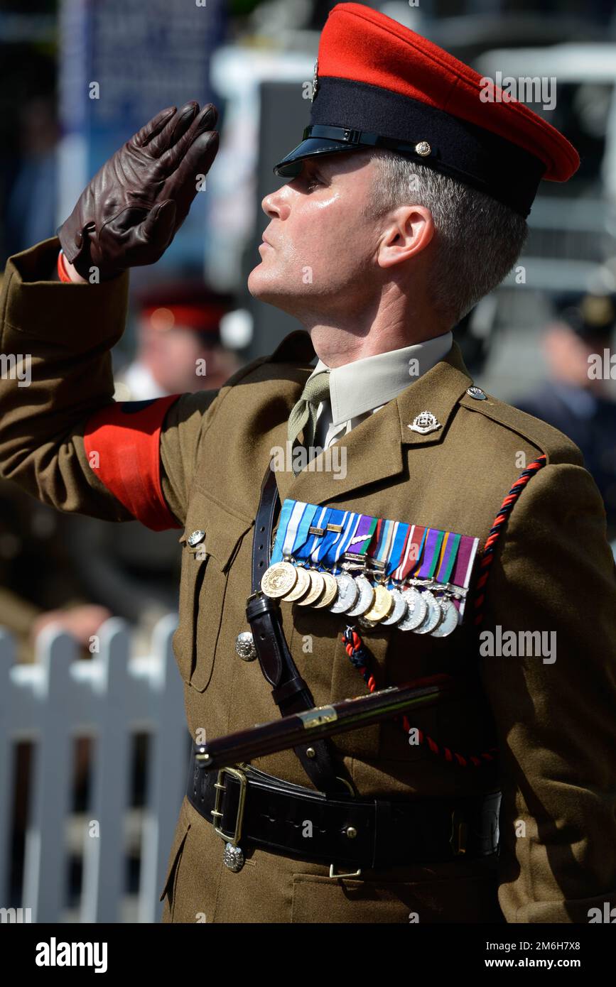 Bandoulières Royal Anglian Armée Britannique - Colonel Officier - Occasion