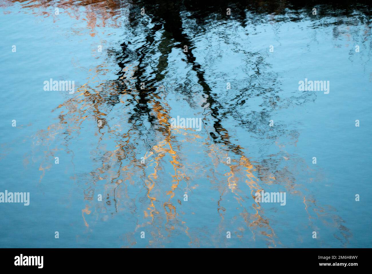 Reflet de l'arbre dans la rivière Banque D'Images