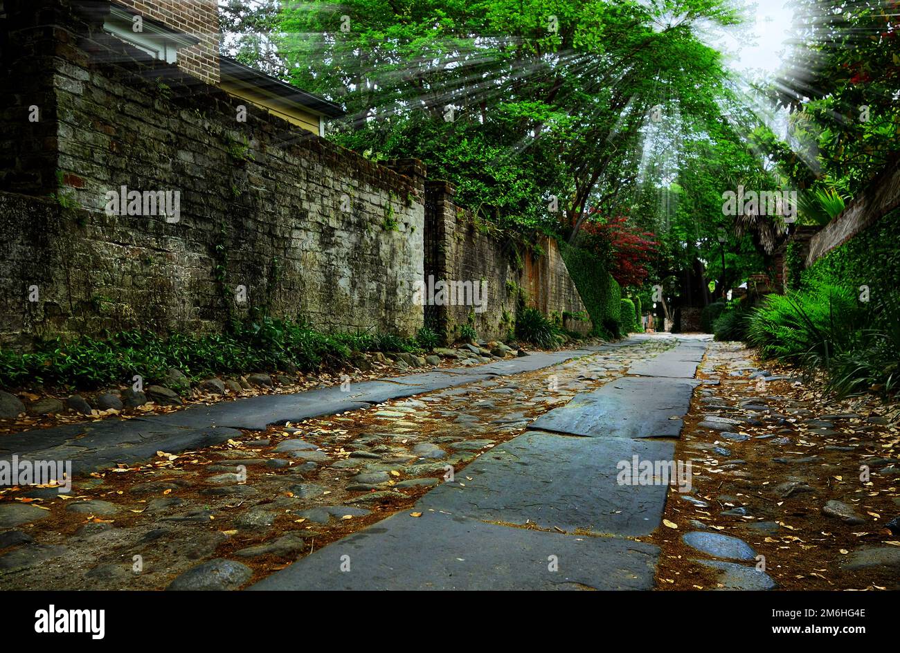 Une rue calme et pavée dans la ville historique de Charleston SC Banque D'Images