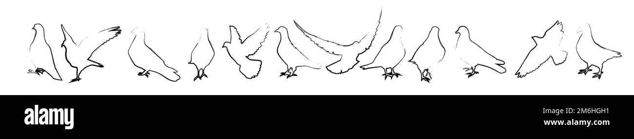 Colombe de la paix dans un dessin simple. Ensemble de colombes avec trait de pinceau. Illustration vectorielle Illustration de Vecteur Colombe de la paix dans un dessin simple. Ensemble de colombes avec trait de pinceau. Illustration vectorielle Illustration de Vecteur