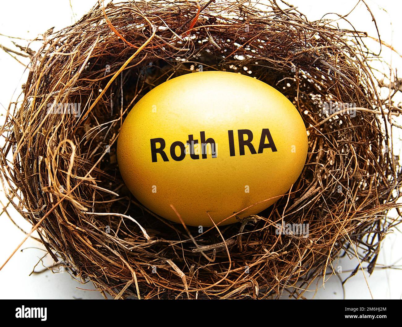 Oeuf d'IRA de Roth d'or dans un nid d'oiseau, sur blanc Banque D'Images
