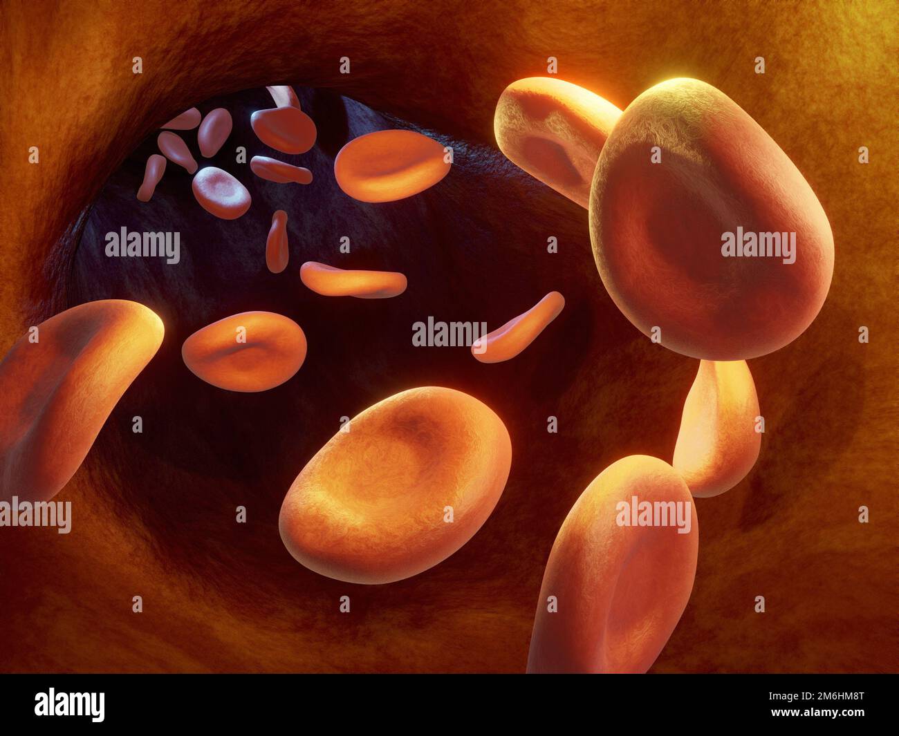 Gros plan de certaines cellules sanguines de l'humna à l'intérieur d'une veine. Illustration numérique, rendu 3D. Banque D'Images