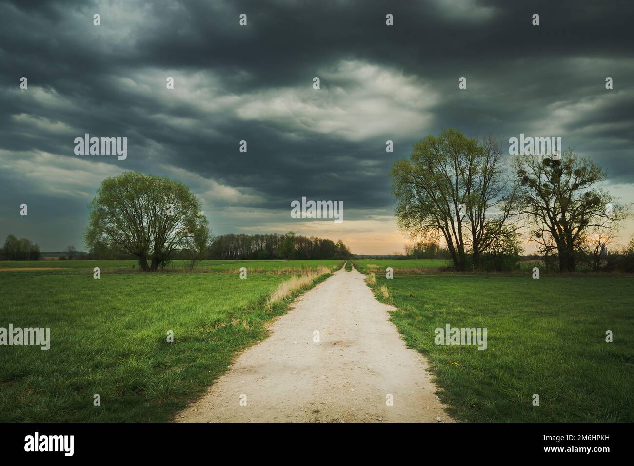 La route à travers les prairies avec des arbres et des nuages sombres Banque D'Images La route à travers les prairies avec des arbres et des nuages sombres Banque D'Images