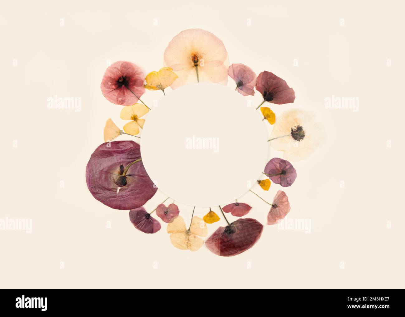 80 Fleurs Séchées Et Pressées Naturelles Comestibles - Mélange 8 Couleurs Pour Décorations Gâteaux, Cocktails Et DIY