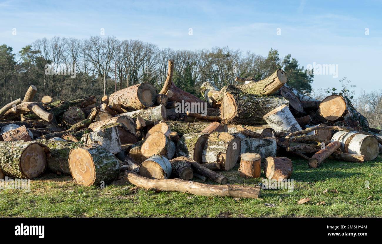 Pile de bois de chauffage Banque D'Images