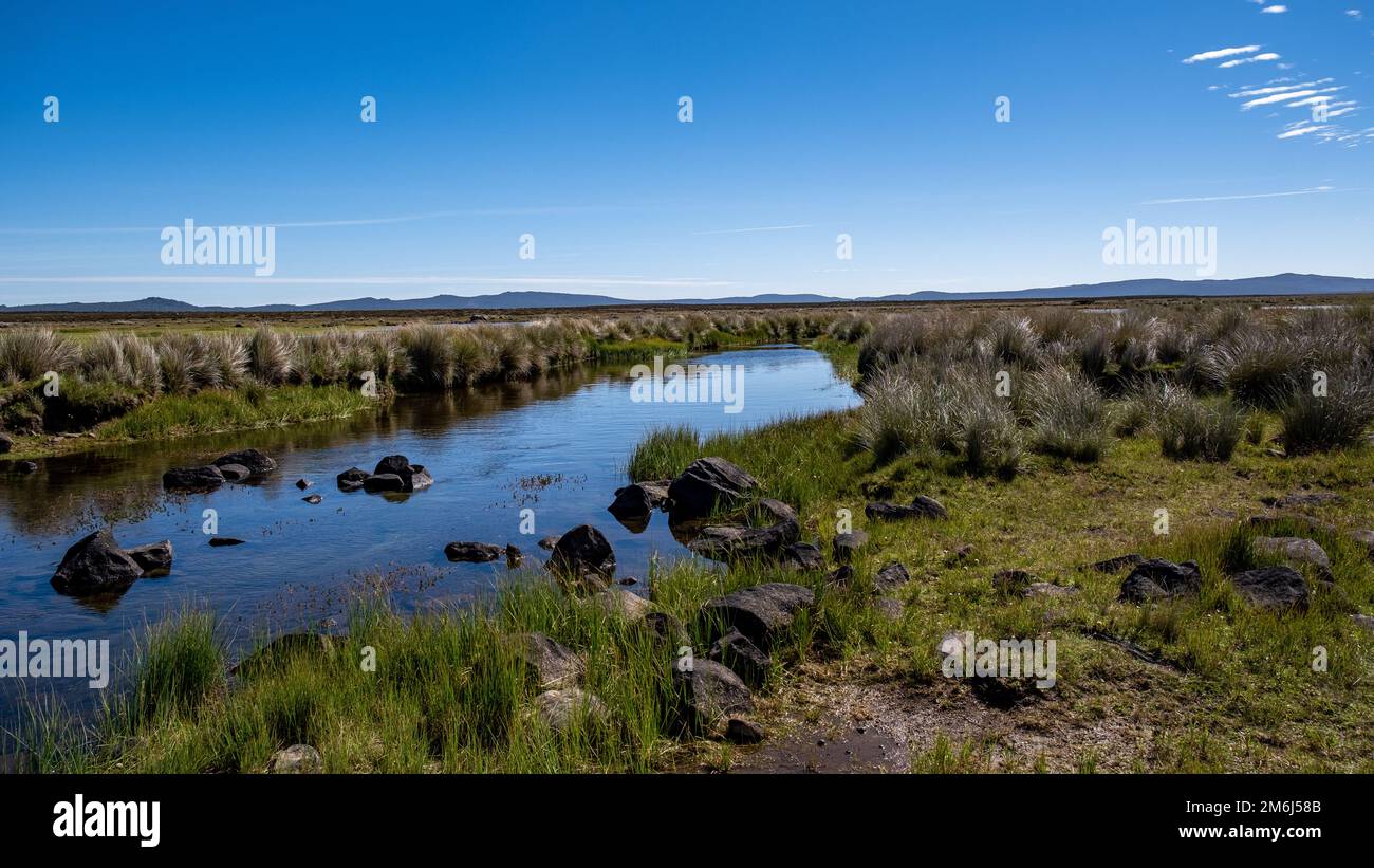 Spring creek sous un ciel bleu dans la zone de conservation de Tasmanie. Banque D'Images