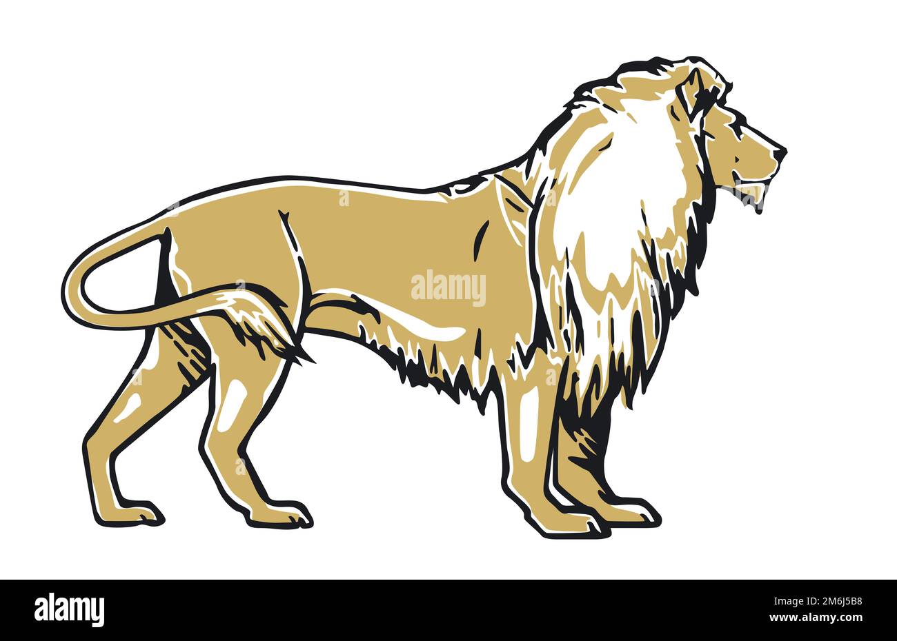 Lion isolé sur blanc, illustration Banque D'Images