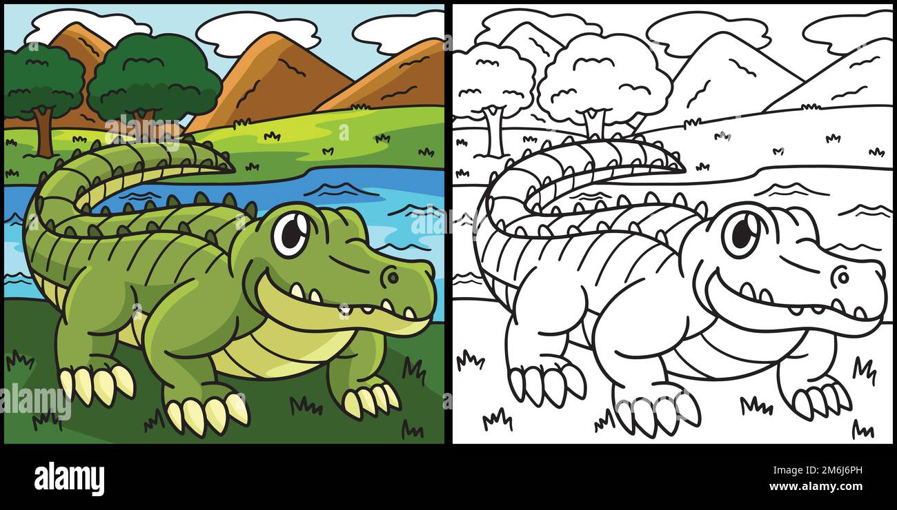 Illustration couleur page crocodile Illustration de Vecteur