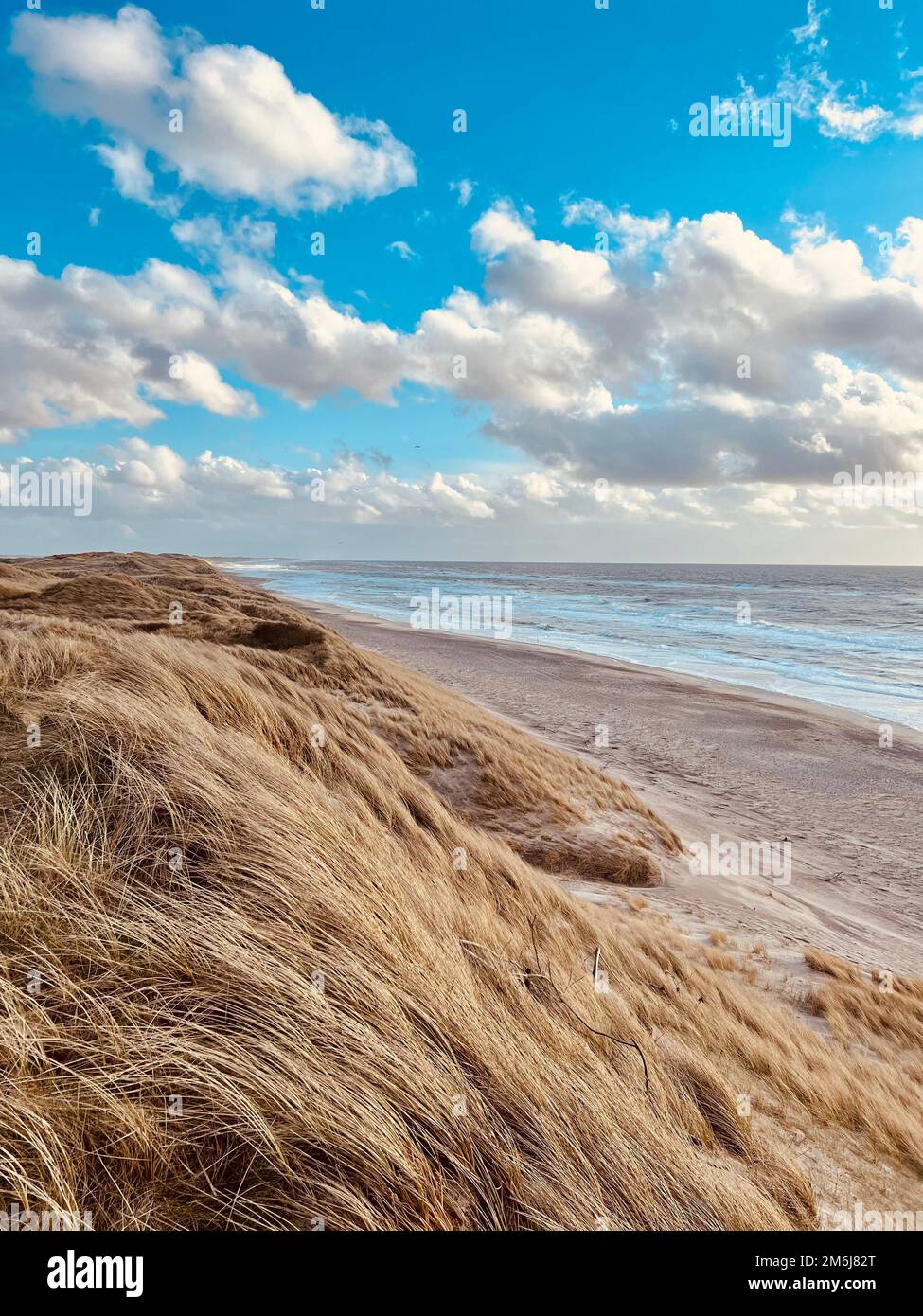 Dunes sur une large plage de sable solitaire Banque D'Images
