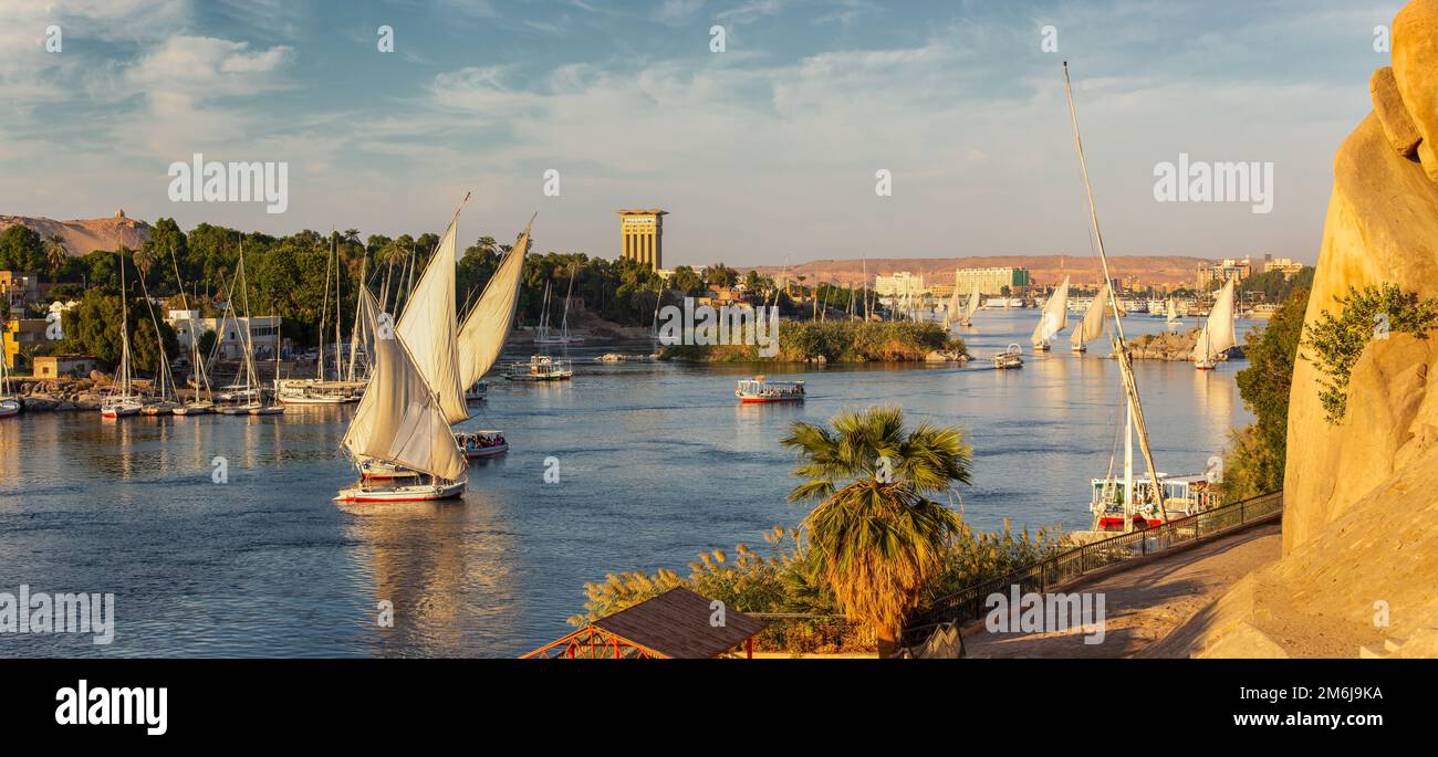 Bateaux de feloucca sur le Nil à Assouan Banque D'Images