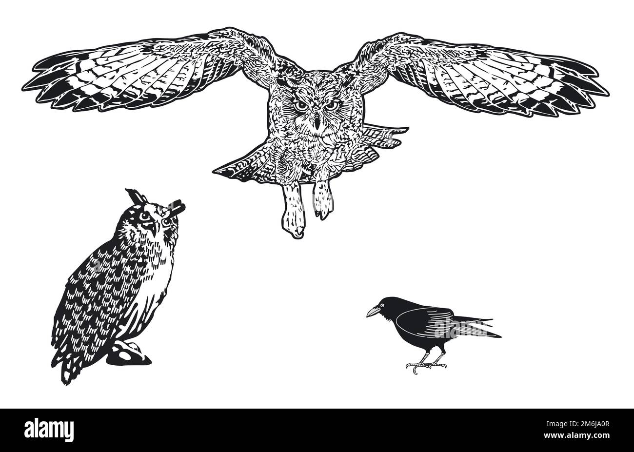 Uhu, hibou et corbeau isolé, illustration Banque D'Images