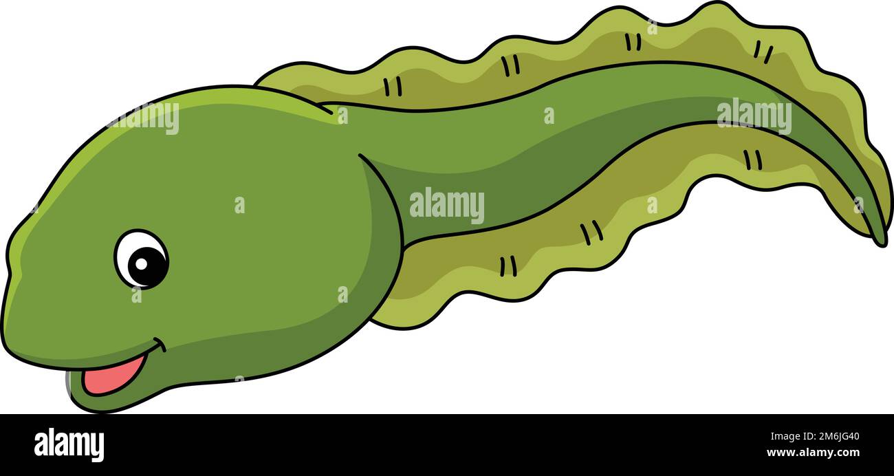 Dessin animé d'animaux de la tadpole couleur Clipart Illustration de Vecteur